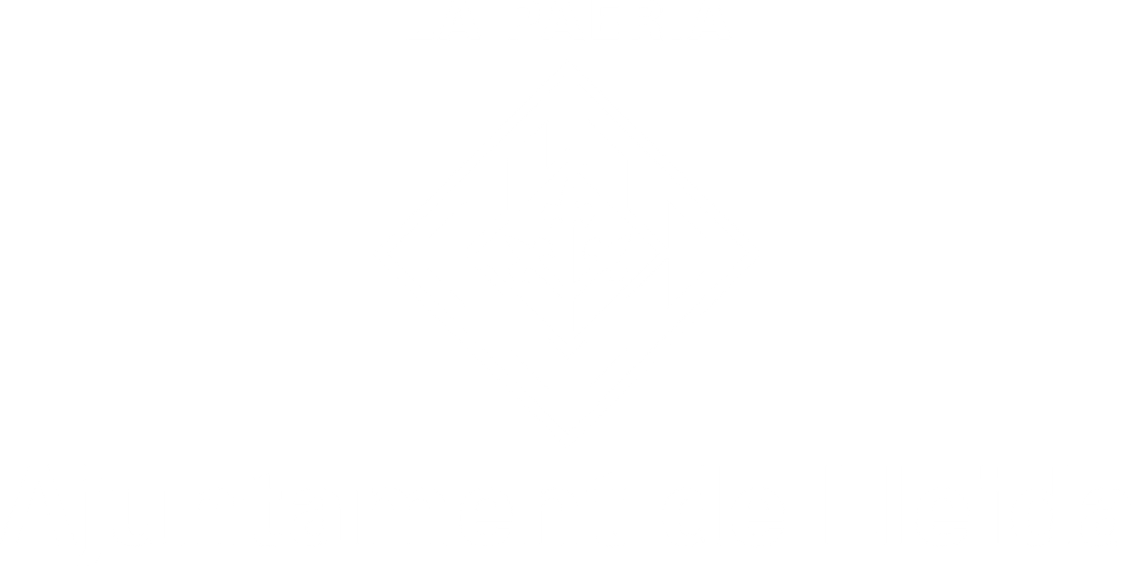 Ajuntament de Lleida